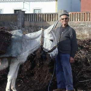 Meet your Posher, Chuck